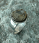 Preview: Silbering  Septarie mit Pyrit