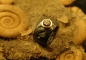 Preview: Natur Zirkon Ring