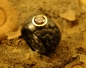 Preview: Natur Zirkon Ring