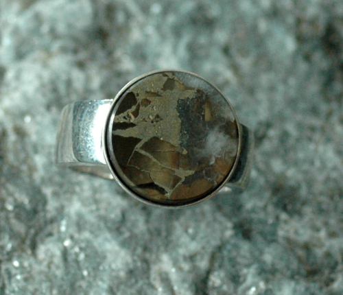 Silbering  Septarie mit Pyrit