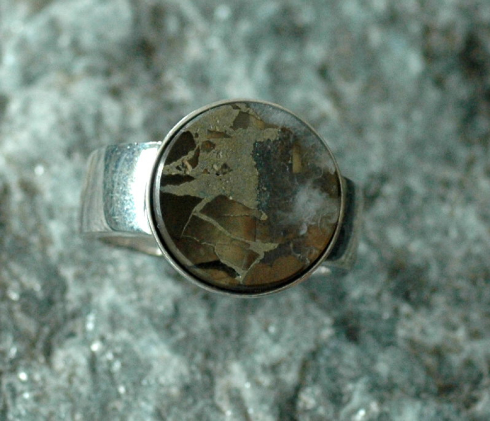 Silbering  Septarie mit Pyrit