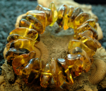 Bernstein Armband natur